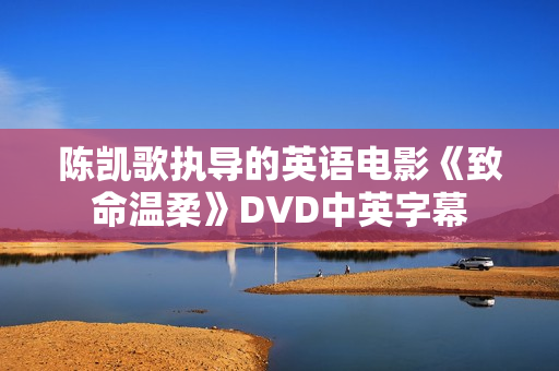 陈凯歌执导的英语电影《致命温柔》DVD中英字幕