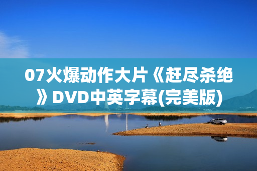07火爆动作大片《赶尽杀绝》DVD中英字幕(完美版)