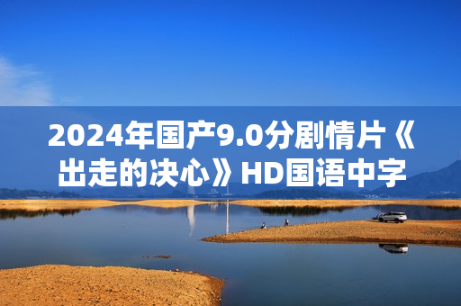 2024年国产9.0分剧情片《出走的决心》HD国语中字