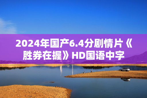 2024年国产6.4分剧情片《胜券在握》HD国语中字