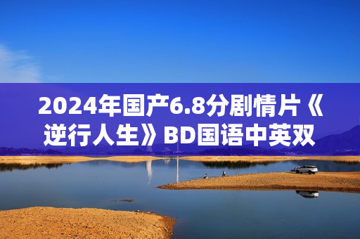 2024年国产6.8分剧情片《逆行人生》BD国语中英双字