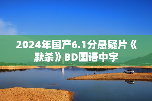 2024年国产6.1分悬疑片《默杀》BD国语中字