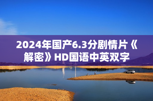 2024年国产6.3分剧情片《解密》HD国语中英双字