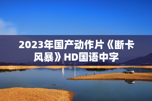 2023年国产动作片《断卡风暴》HD国语中字