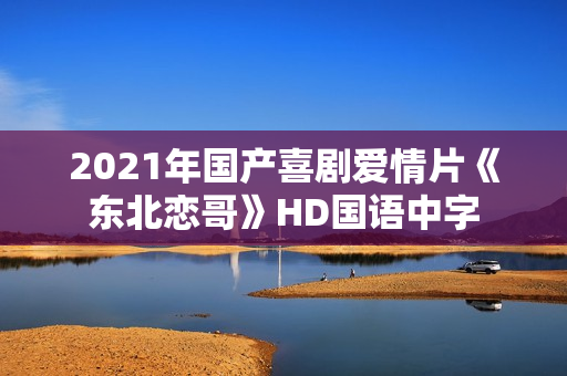 2021年国产喜剧爱情片《东北恋哥》HD国语中字