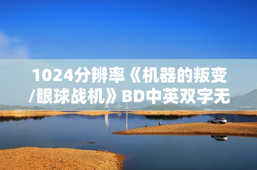 1024分辨率《机器的叛变/眼球战机》BD中英双字无水印