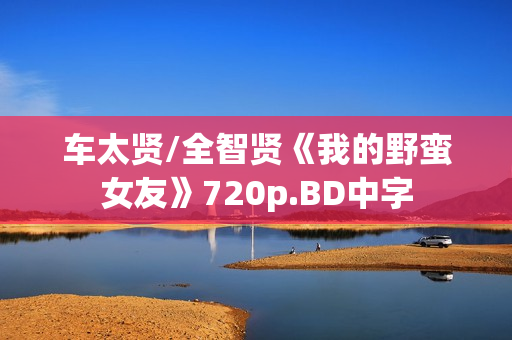 车太贤/全智贤《我的野蛮女友》720p.BD中字