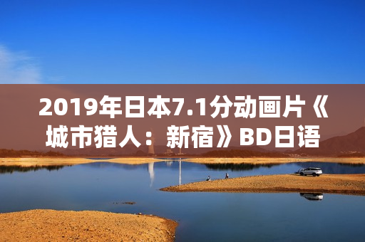 2019年日本7.1分动画片《城市猎人：新宿》BD日语中字