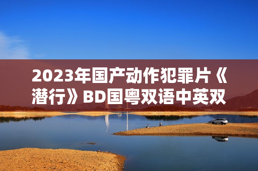 2023年国产动作犯罪片《潜行》BD国粤双语中英双字