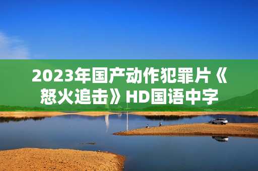 2023年国产动作犯罪片《怒火追击》HD国语中字