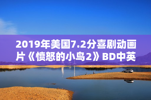 2019年美国7.2分喜剧动画片《愤怒的小鸟2》BD中英双字修复