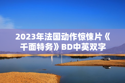 2023年法国动作惊悚片《千面特务》BD中英双字