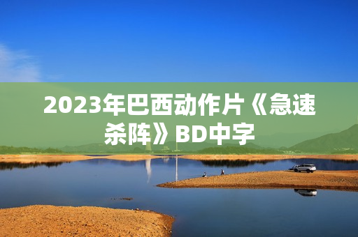 2023年巴西动作片《急速杀阵》BD中字