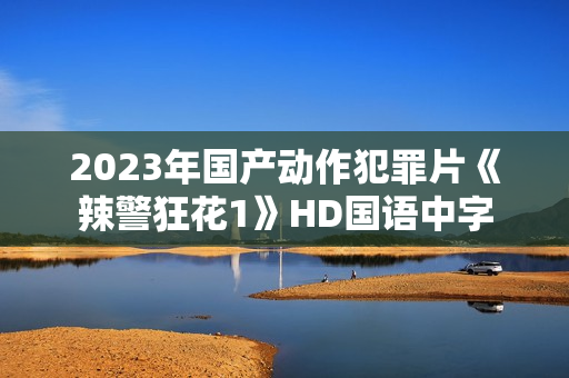 2023年国产动作犯罪片《辣警狂花1》HD国语中字