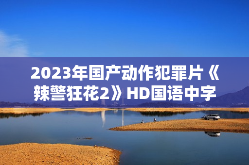 2023年国产动作犯罪片《辣警狂花2》HD国语中字