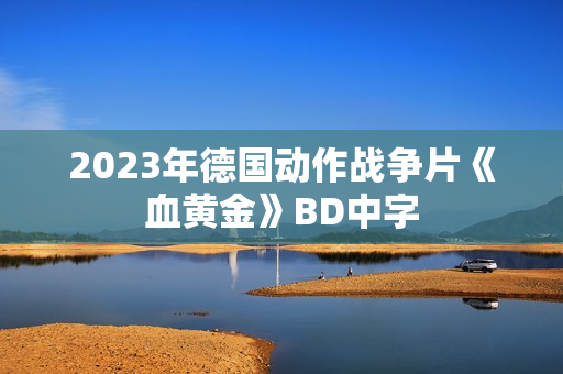 2023年德国动作战争片《血黄金》BD中字