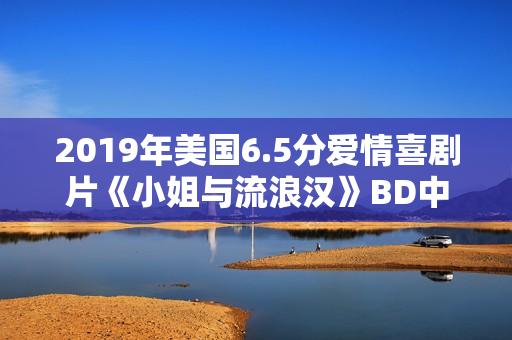 2019年美国6.5分爱情喜剧片《小姐与流浪汉》BD中英双字