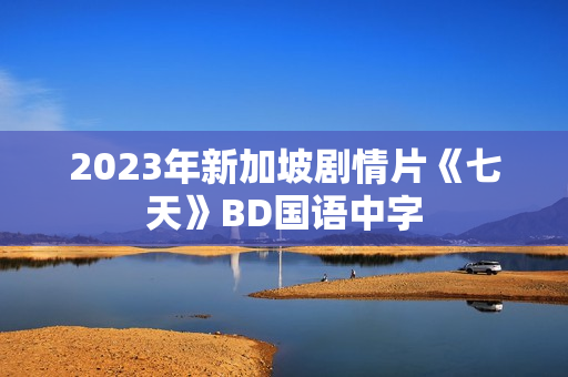 2023年新加坡剧情片《七天》BD国语中字