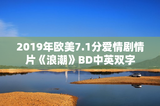 2019年欧美7.1分爱情剧情片《浪潮》BD中英双字