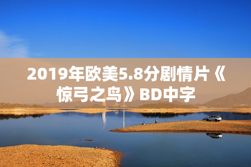 2019年欧美5.8分剧情片《惊弓之鸟》BD中字