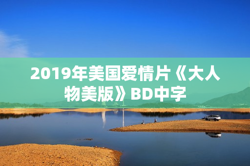 2019年美国爱情片《大人物美版》BD中字
