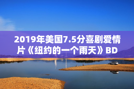 2019年美国7.5分喜剧爱情片《纽约的一个雨天》BD中字