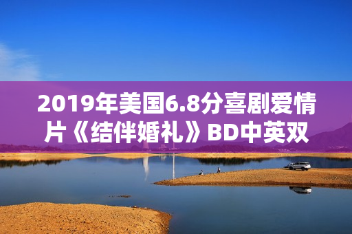 2019年美国6.8分喜剧爱情片《结伴婚礼》BD中英双字