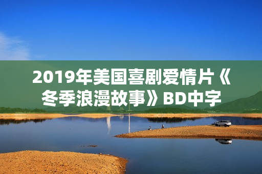 2019年美国喜剧爱情片《冬季浪漫故事》BD中字