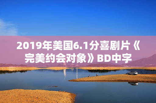 2019年美国6.1分喜剧片《完美约会对象》BD中字