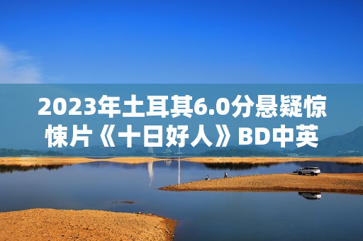 2023年土耳其6.0分悬疑惊悚片《十日好人》BD中英双字