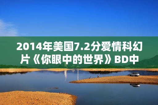 2014年美国7.2分爱情科幻片《你眼中的世界》BD中英双字