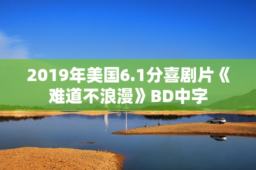 2019年美国6.1分喜剧片《难道不浪漫》BD中字