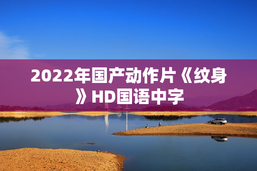 2022年国产动作片《纹身》HD国语中字