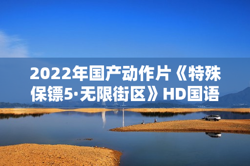 2022年国产动作片《特殊保镖5·无限街区》HD国语中字