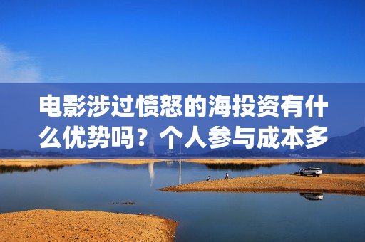 电影涉过愤怒的海投资有什么优势吗？个人参与成本多少？(电影涉过愤怒的海演员表)