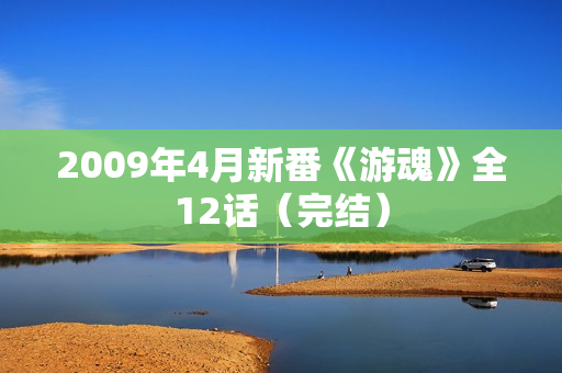 2009年4月新番《游魂》全12话（完结）