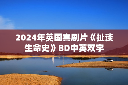 2024年英国喜剧片《扯淡生命史》BD中英双字