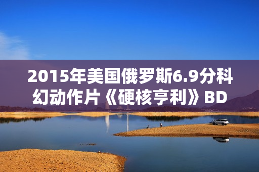 2015年美国俄罗斯6.9分科幻动作片《硬核亨利》BD中英双字