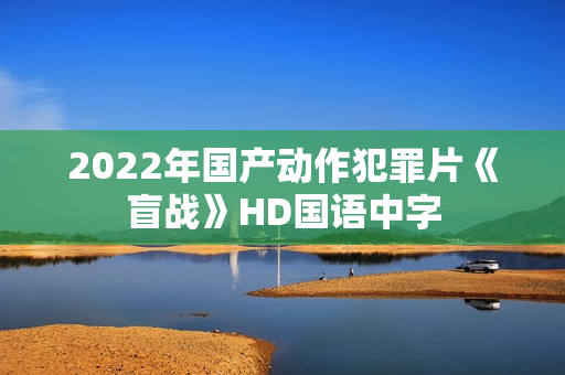 2022年国产动作犯罪片《盲战》HD国语中字