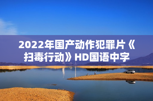 2022年国产动作犯罪片《扫毒行动》HD国语中字