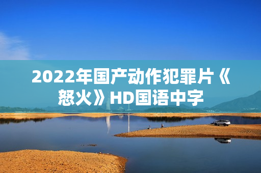 2022年国产动作犯罪片《怒火》HD国语中字