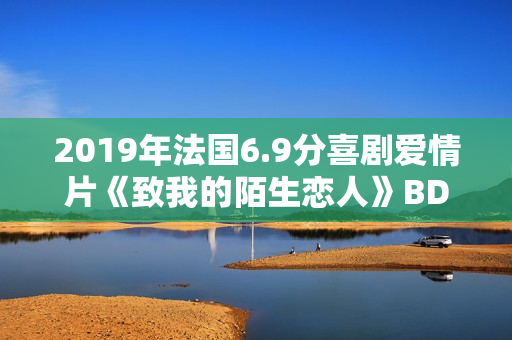 2019年法国6.9分喜剧爱情片《致我的陌生恋人》BD中字