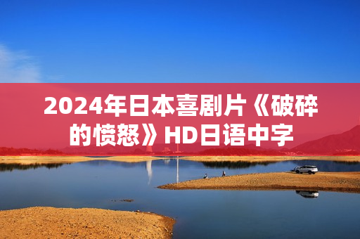 2024年日本喜剧片《破碎的愤怒》HD日语中字