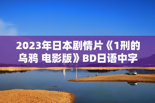 2023年日本剧情片《1刑的乌鸦 电影版》BD日语中字