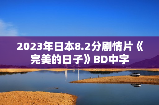 2023年日本8.2分剧情片《完美的日子》BD中字