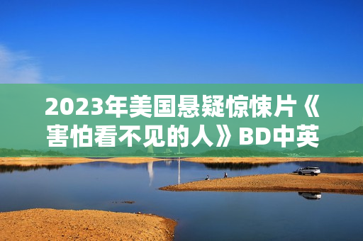 2023年美国悬疑惊悚片《害怕看不见的人》BD中英双字