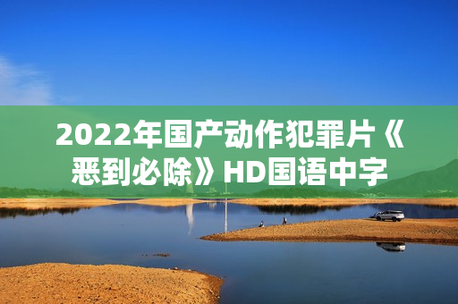 2022年国产动作犯罪片《恶到必除》HD国语中字
