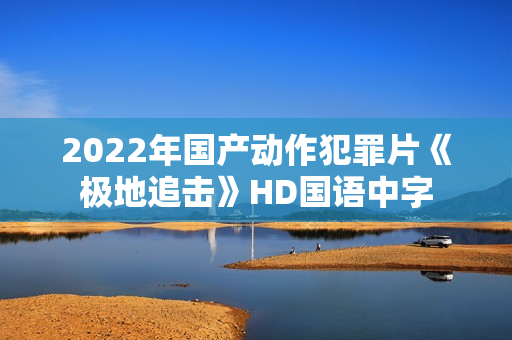 2022年国产动作犯罪片《极地追击》HD国语中字