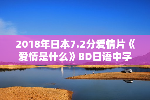 2018年日本7.2分爱情片《爱情是什么》BD日语中字