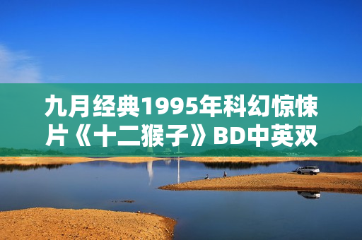 九月经典1995年科幻惊悚片《十二猴子》BD中英双字